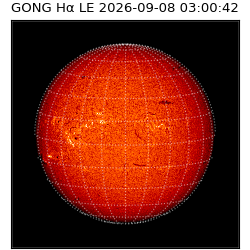gong - 2026-09-08T03:00:42