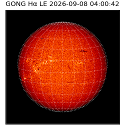 gong - 2026-09-08T04:00:42