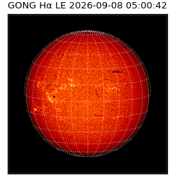 gong - 2026-09-08T05:00:42