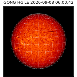 gong - 2026-09-08T06:00:42