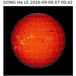 gong - 2026-09-08T07:00:42