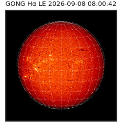 gong - 2026-09-08T08:00:42