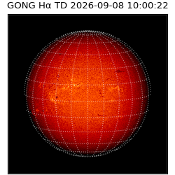 gong - 2026-09-08T10:00:22