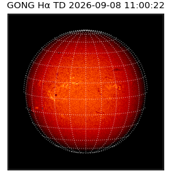 gong - 2026-09-08T11:00:22