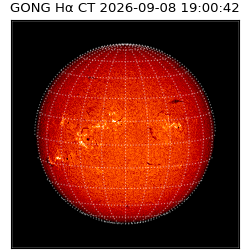 gong - 2026-09-08T19:00:42