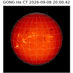gong - 2026-09-08T20:00:42
