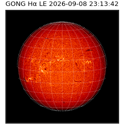 gong - 2026-09-08T23:13:42