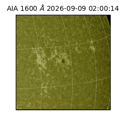 saia - 2026-09-09T02:00:14.123000