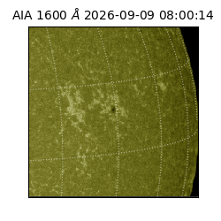 saia - 2026-09-09T08:00:14.122000