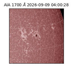 saia - 2026-09-09T04:00:28.716000