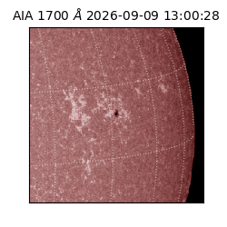 saia - 2026-09-09T13:00:28.716000