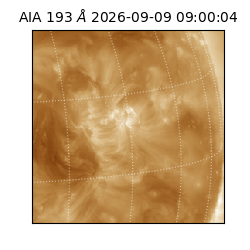 saia - 2026-09-09T09:00:04.842000