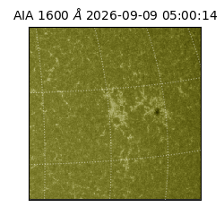saia - 2026-09-09T05:00:14.122000