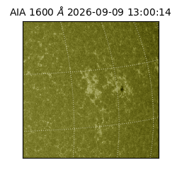 saia - 2026-09-09T13:00:14.123000