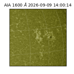 saia - 2026-09-09T14:00:14.122000