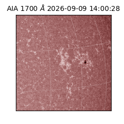 saia - 2026-09-09T14:00:28.716000