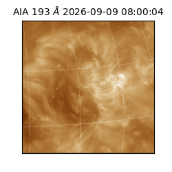 saia - 2026-09-09T08:00:04.842000