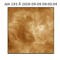saia - 2026-09-09T09:00:04.842000