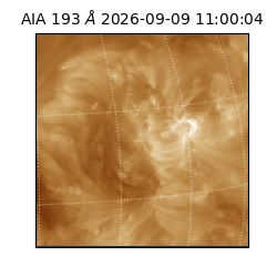saia - 2026-09-09T11:00:04.842000
