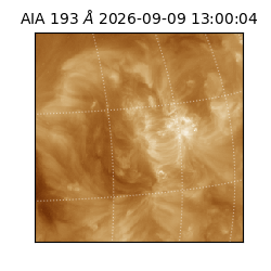 saia - 2026-09-09T13:00:04.842000