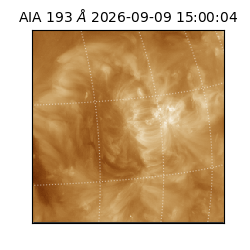 saia - 2026-09-09T15:00:04.842000