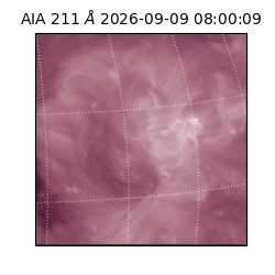 saia - 2026-09-09T08:00:09.623000