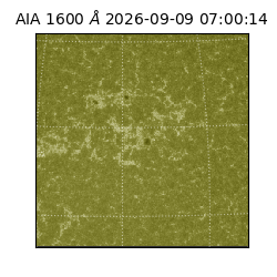 saia - 2026-09-09T07:00:14.123000