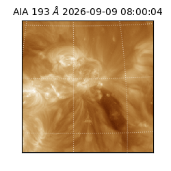 saia - 2026-09-09T08:00:04.842000