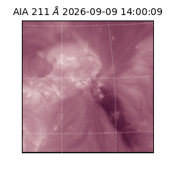 saia - 2026-09-09T14:00:09.624000