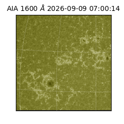 saia - 2026-09-09T07:00:14.123000