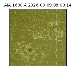 saia - 2026-09-09T08:00:14.122000