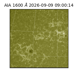 saia - 2026-09-09T09:00:14.123000