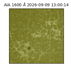 saia - 2026-09-09T13:00:14.123000