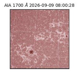 saia - 2026-09-09T08:00:28.716000