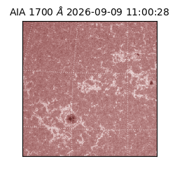 saia - 2026-09-09T11:00:28.716000