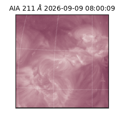 saia - 2026-09-09T08:00:09.623000