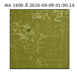 saia - 2026-09-09T01:00:14.124000