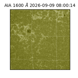 saia - 2026-09-09T08:00:14.122000