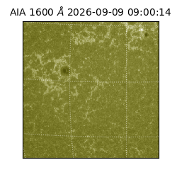 saia - 2026-09-09T09:00:14.123000