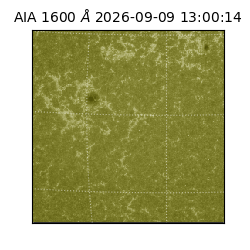 saia - 2026-09-09T13:00:14.123000