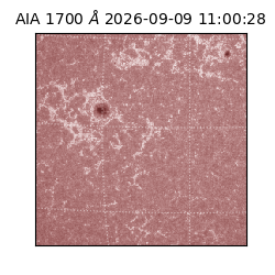 saia - 2026-09-09T11:00:28.716000