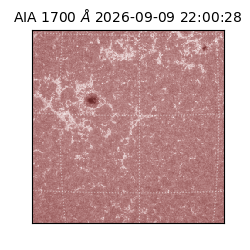 saia - 2026-09-09T22:00:28.718000