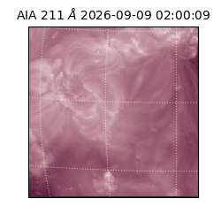saia - 2026-09-09T02:00:09.621000