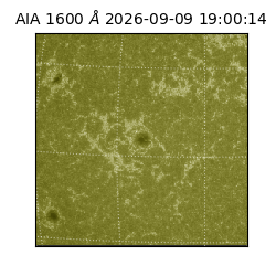 saia - 2026-09-09T19:00:14.123000