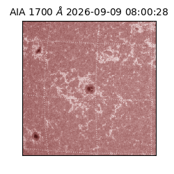saia - 2026-09-09T08:00:28.716000