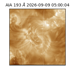 saia - 2026-09-09T05:00:04.842000