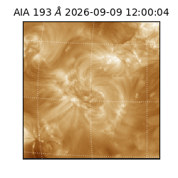 saia - 2026-09-09T12:00:04.841000