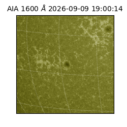 saia - 2026-09-09T19:00:14.123000