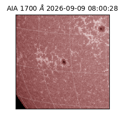 saia - 2026-09-09T08:00:28.716000