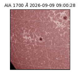 saia - 2026-09-09T09:00:28.717000